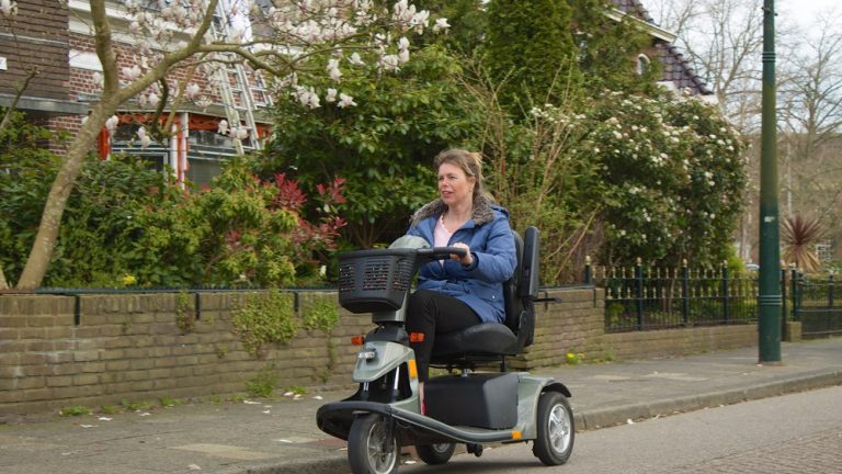 T-cellen bij apen bieden nieuwe mogelijkheden voor MS-patiënten