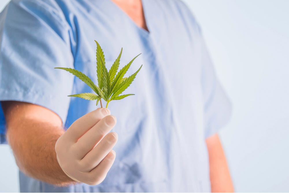cannabis