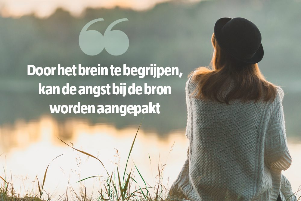focus_beeld