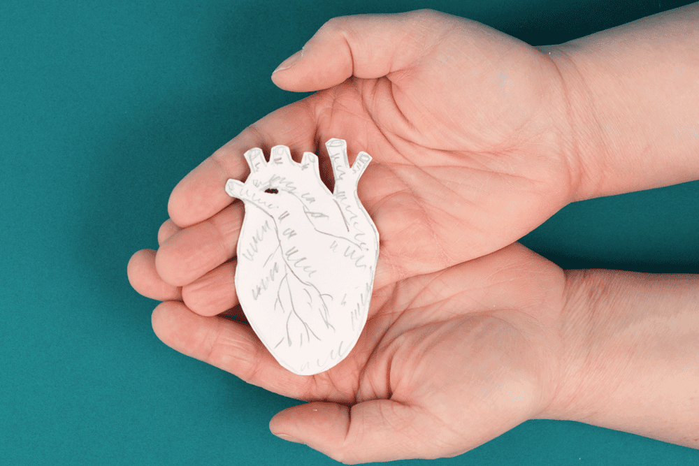 heart