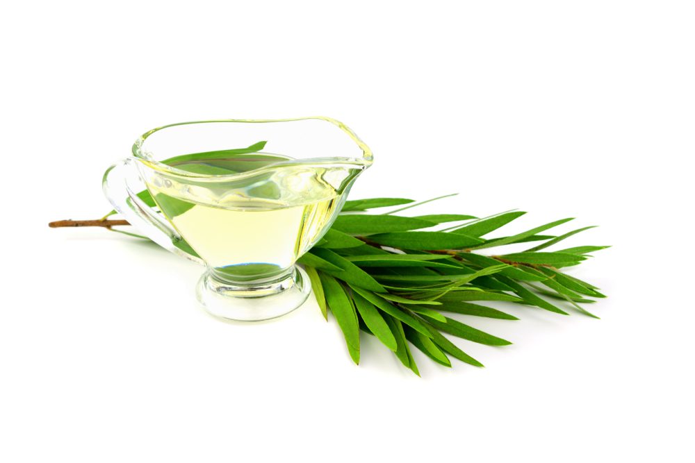 tea-tree-oil