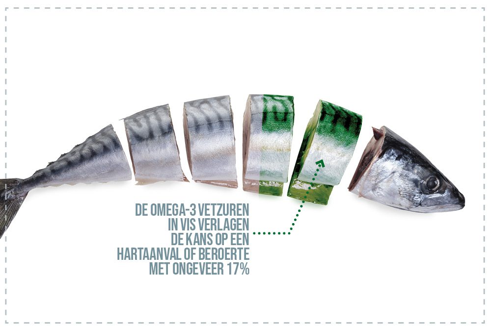 vis-omega-3