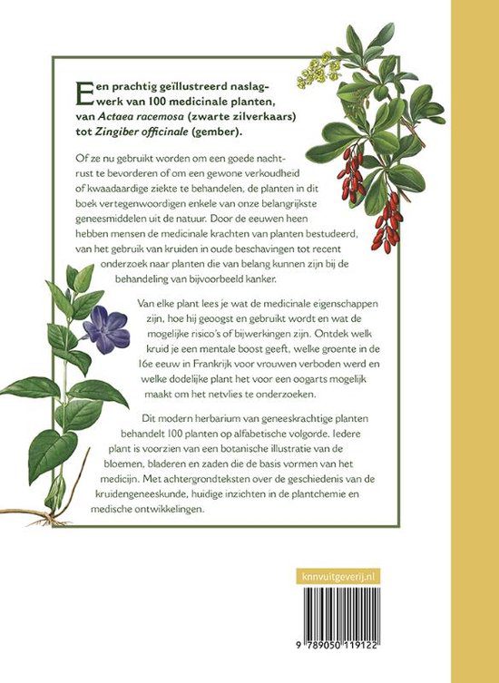 Botanicum medicinale - Afbeelding 2