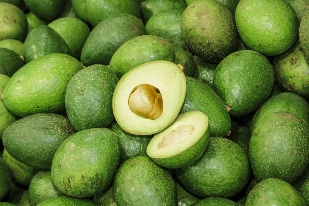 Avocado helpt bloedsuiker reguleren